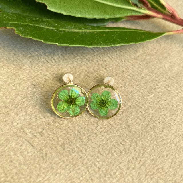 Puces - vert